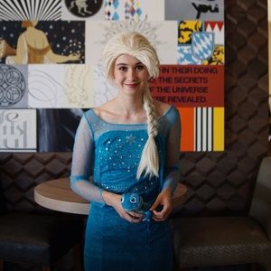 Elsa Frozen Costume